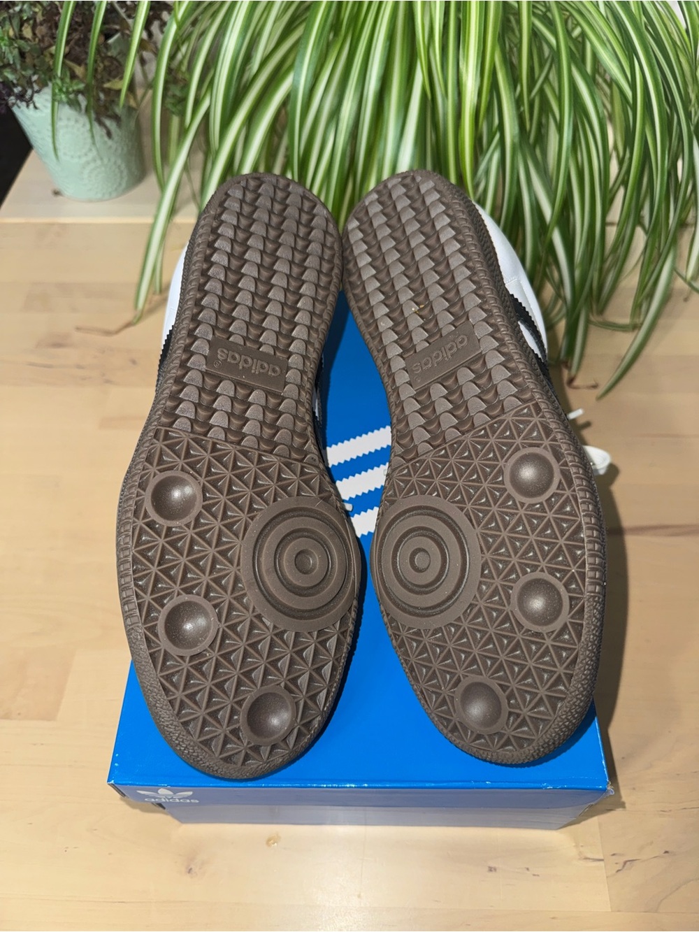 adidas Samba’s Women - Picture 7 of 8